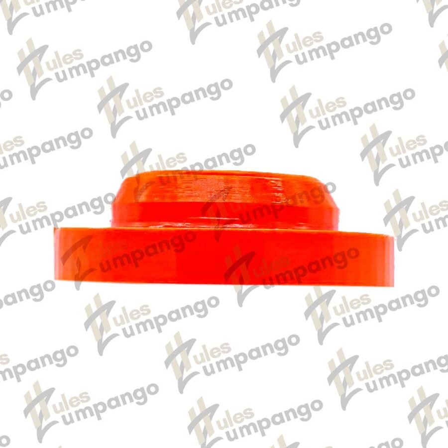 Calza Chevy-Pointer - Image 3