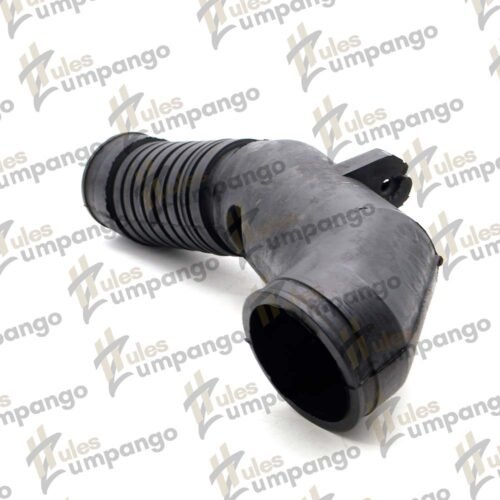 Manguera Volkswagen Jetta Europa