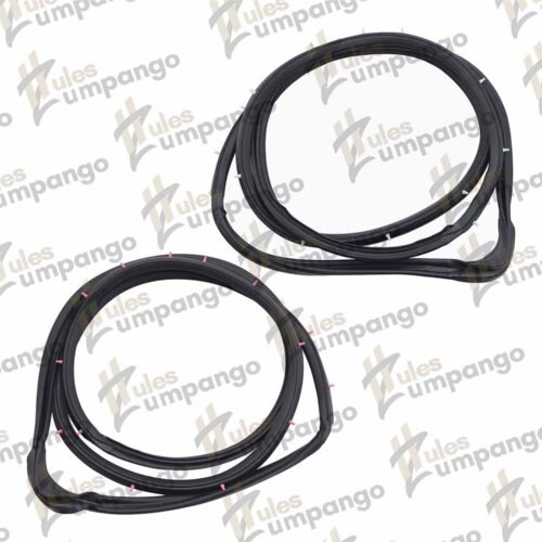 Juego Hule para Puerta Nissan Tsuru III 2 Puertas