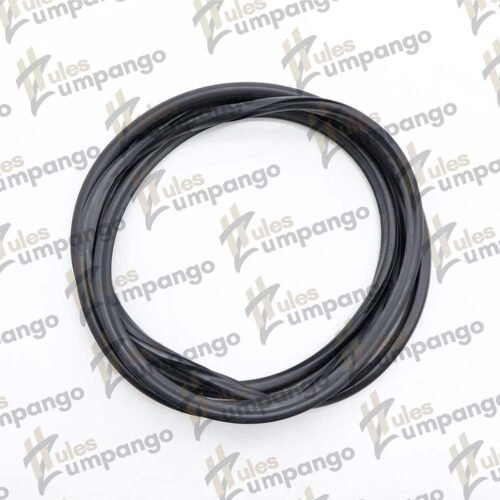 Goma medallon Pointer