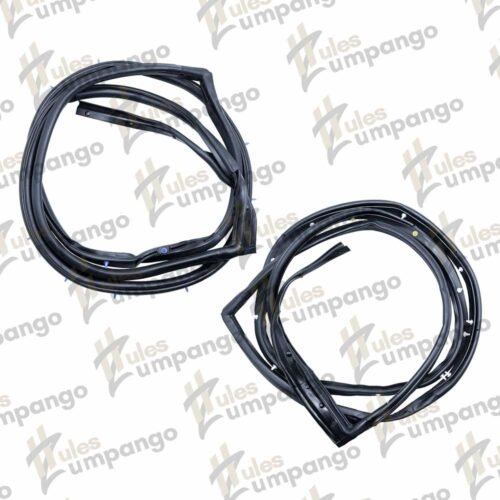 Juego Hule para Puerta Nissan Tiida Hatchback Trasera 06-18